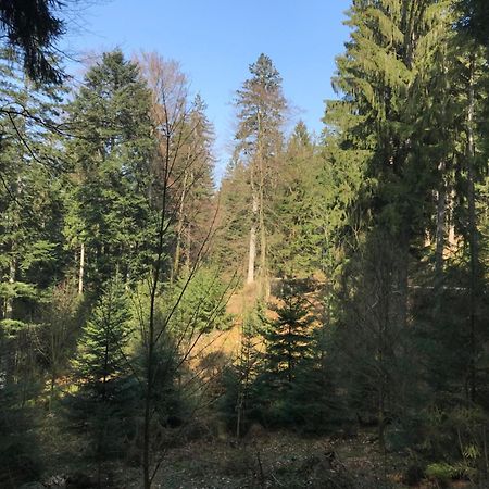 Ferienwohnung Hesselbach Оберкирх Екстериор снимка